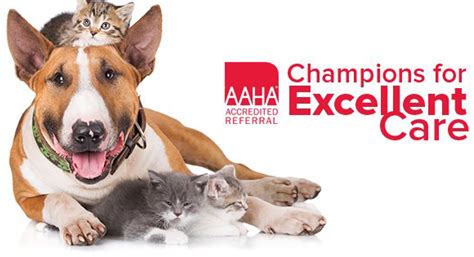 AAHA Accredited Animal Hospital in Atlanta .